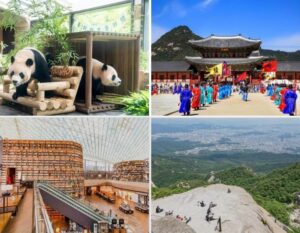 best things to do in seoul hero image