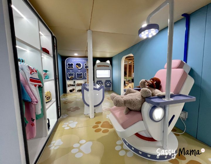 best indoor playground in singapore - dreamdora pet hospital