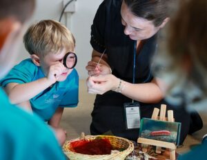 dover court international school nest open house
