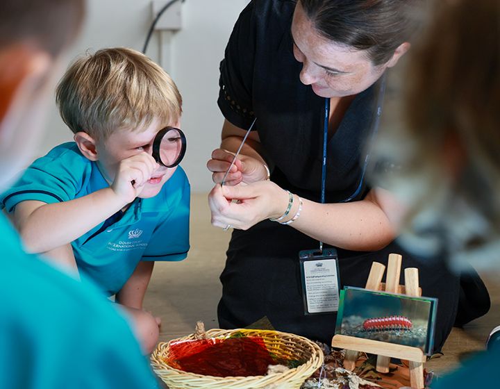 dover court international school nest open house