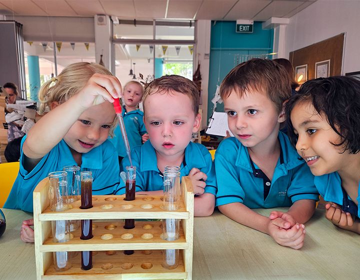 dover court international school nest open house
