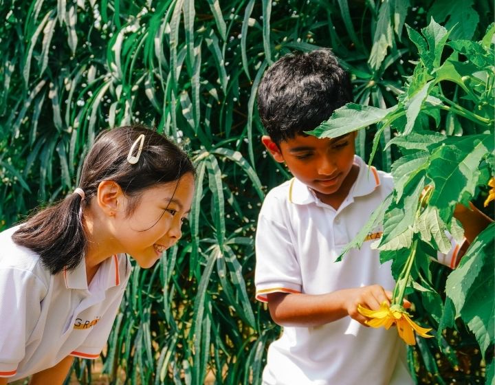 forest school singapore - The Grange Institution
