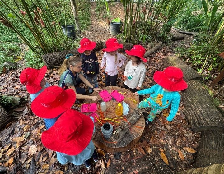 forest schools in singapore - tanglin trust school 