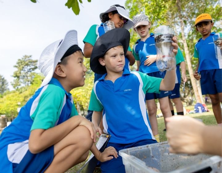 forest schools singapore - uwc 