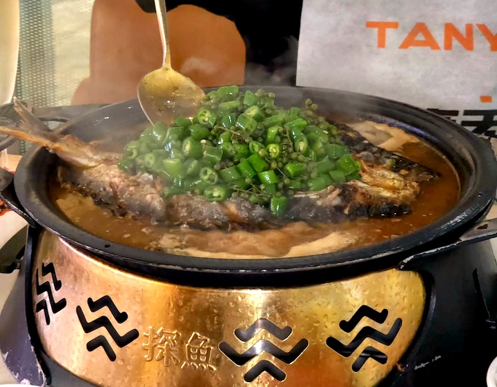 singapore promotion - tanyu