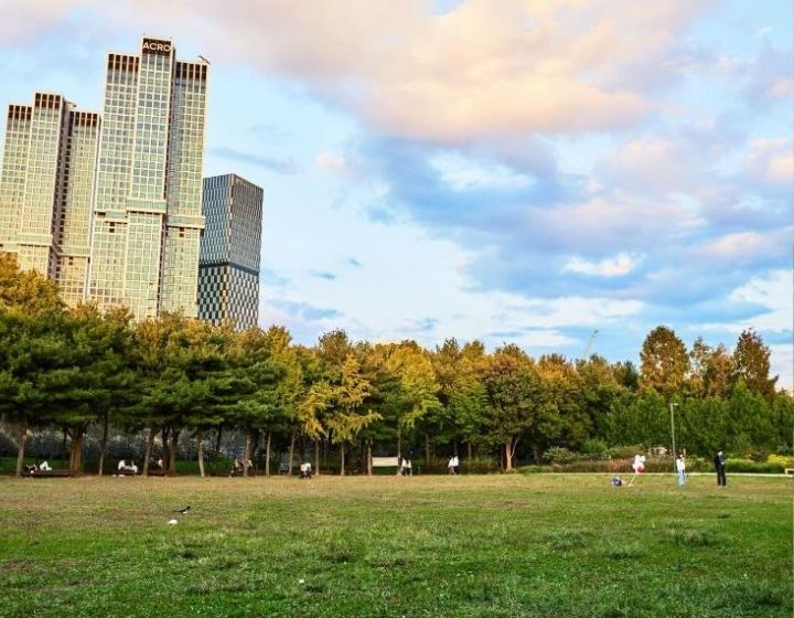 things to do in seoul - seoul forest park