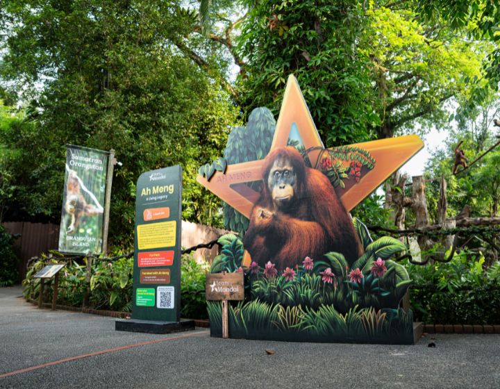 things to do in singapore this weekend - mandai mascot meet and greet