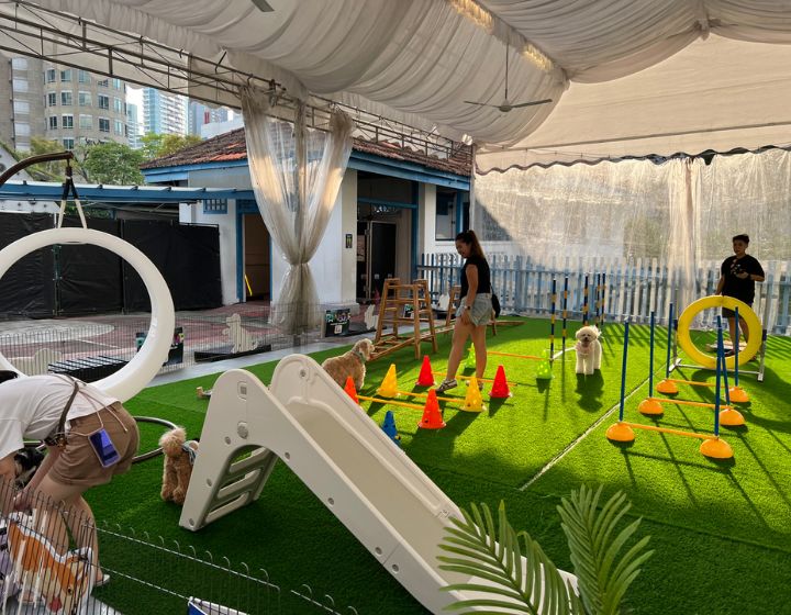 things to do in singapore this weekend - village encounters at holland village