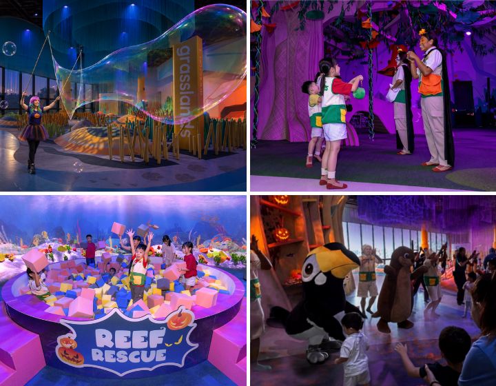 halloween events in singapore - curiosity cove