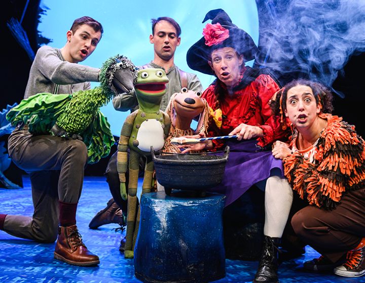 kids theatre shows and musicals in singapore - room on the broom