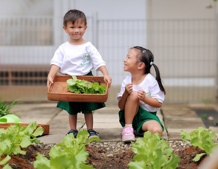 kinderland preschool